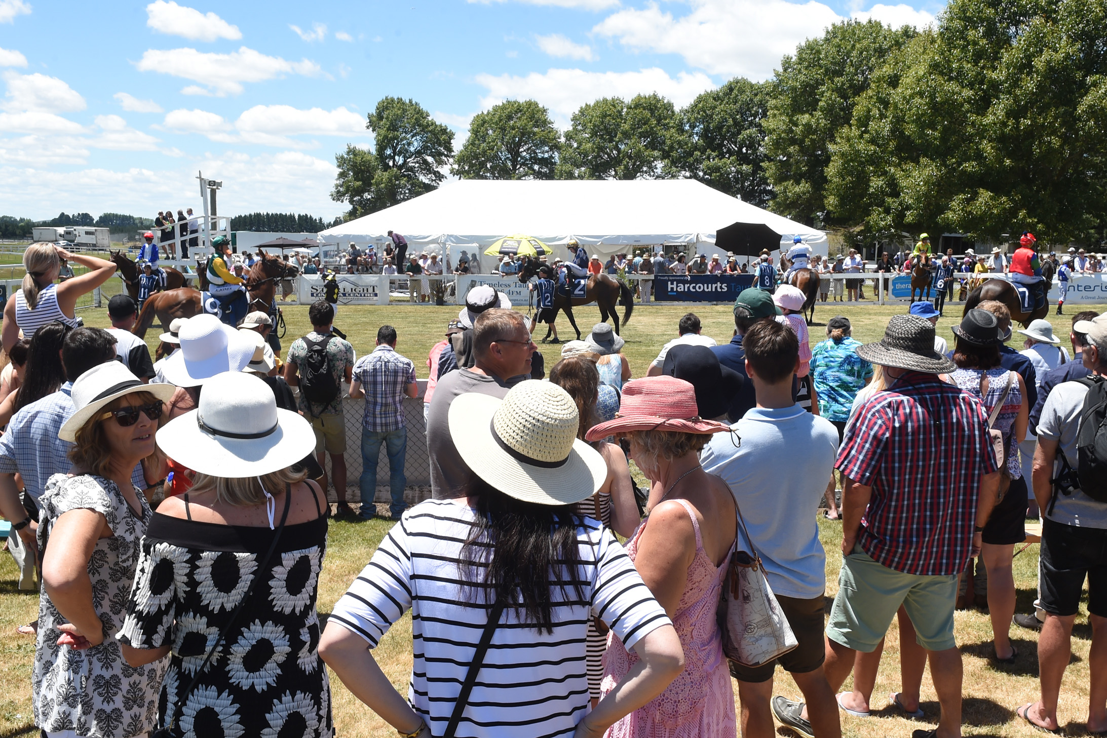 Taupo Racing Club I Horse Racing NZ